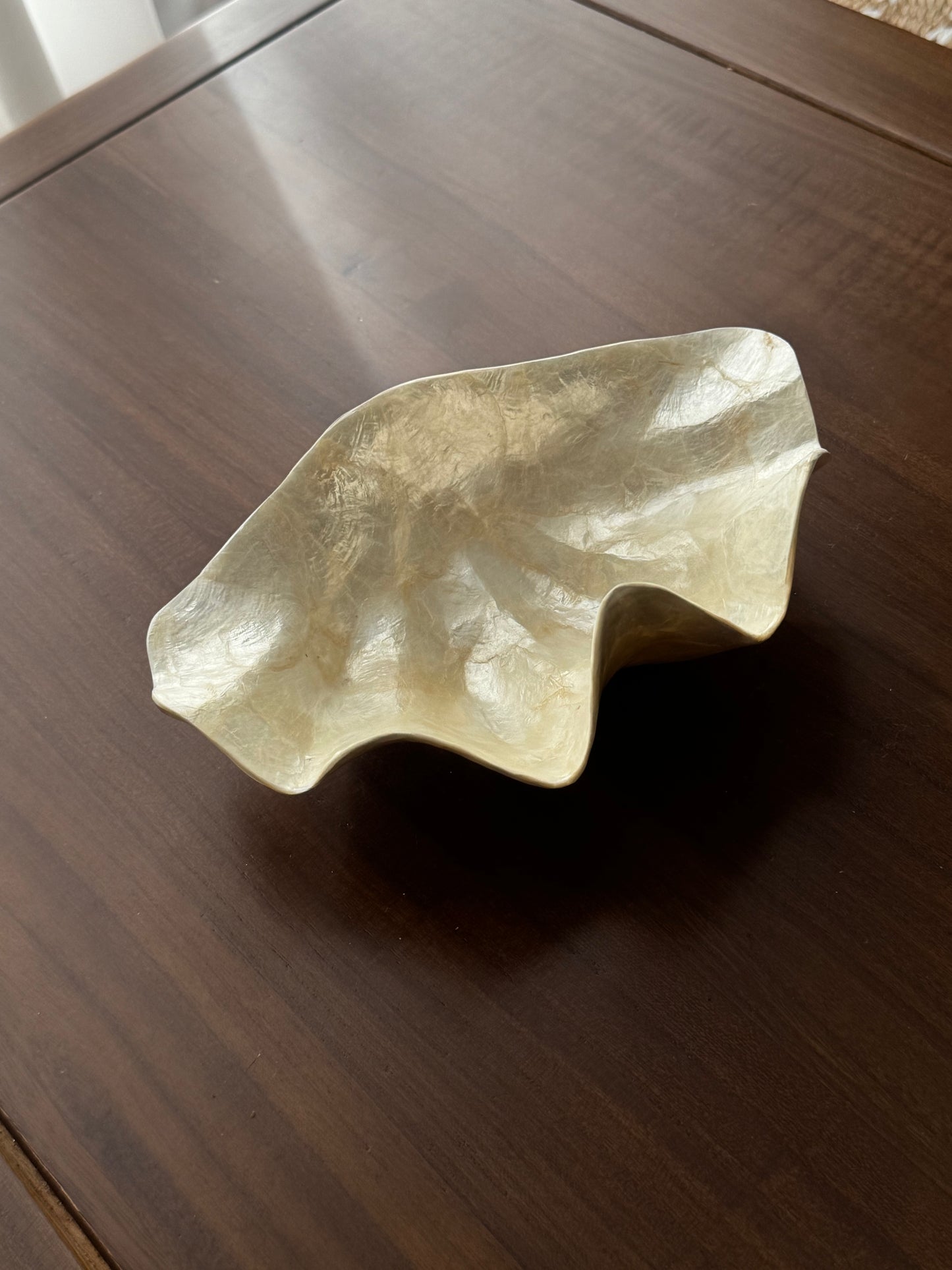 人魚貝殼盤