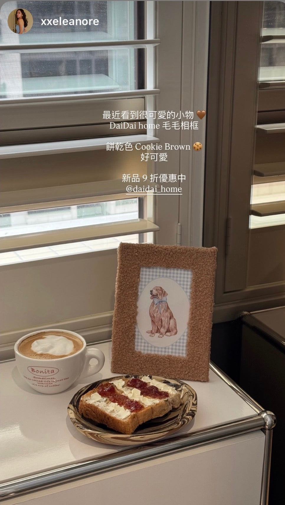 泰迪毛毛相框-Cookie Brown